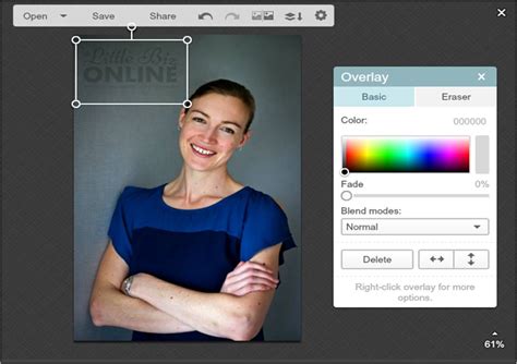 How To Watermark Images Using Picmonkey Little Biz Online