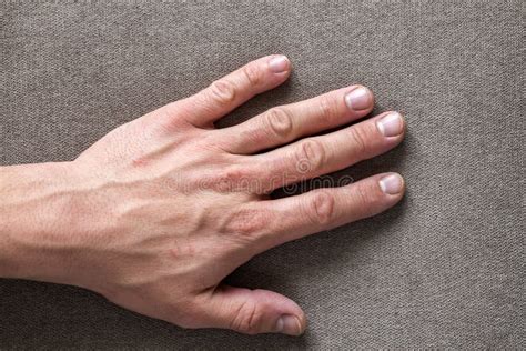 Close Up Of Male Masculine Young Worker Hands With Rough Skin And Short