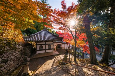 2019 Japan Fall Colors Forecast And Autumn Foliage Viewing