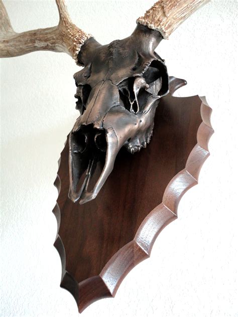 Anlter Sheds on Replica Mule Deer Skull | Deer skull mount, Deer skull