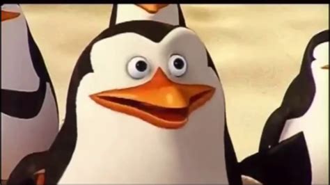 Verdad Que Te EngaÑe Meme Los Pingüinos De Madagascar Youtube