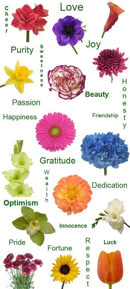 what do your flowers say find out here flower meanings focal
