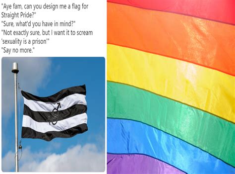The ‘straight Pride Flag Is Now A Twitter Meme Indy100 Indy100
