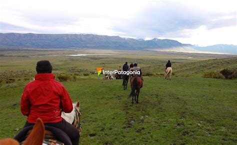 Horseback Ride At Mount Frías El Calafate