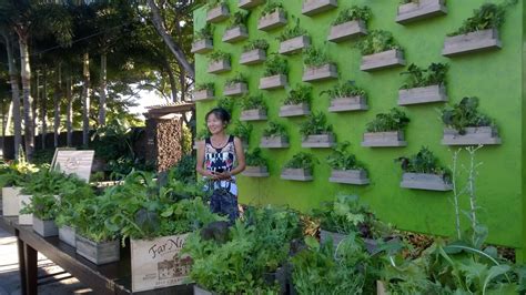 Living Salad Wall A Featured Item Four Seasons Hualalai Big Island