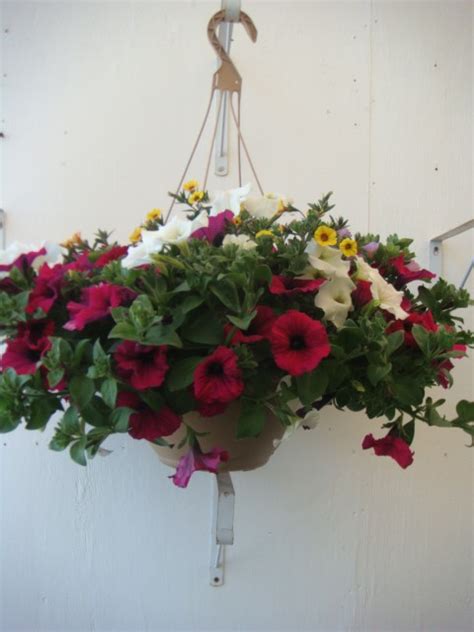 Looking for something to do in draper? Hanging Flower Baskets - Draper FlowerPros - Draper, UT