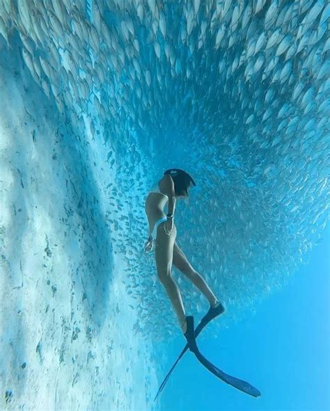Pin On Underwater Photography Mermaid