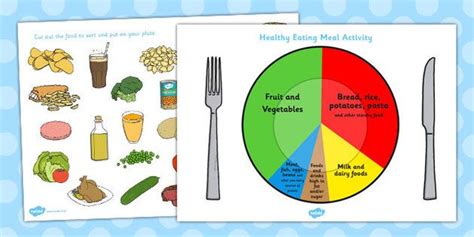 Fill half your plate with nonstarchy vegetables, one quarter with lean protein, and one with whole g. Healthy Eating Divided Plate Sorting Activity | Theme ...