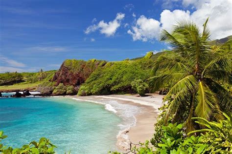 The Beach Is Surrounded By Lush Vegetation And Blue Water