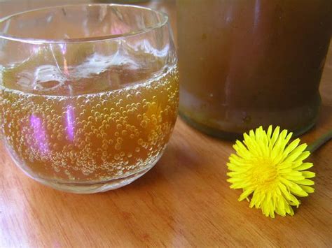 A Life Unprocessed Lacto Fermented Dandelion Soda Fermented Drink