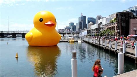 Sydney Festival 2013 Giant Rubber Duck Florentijn Hofman At Darling