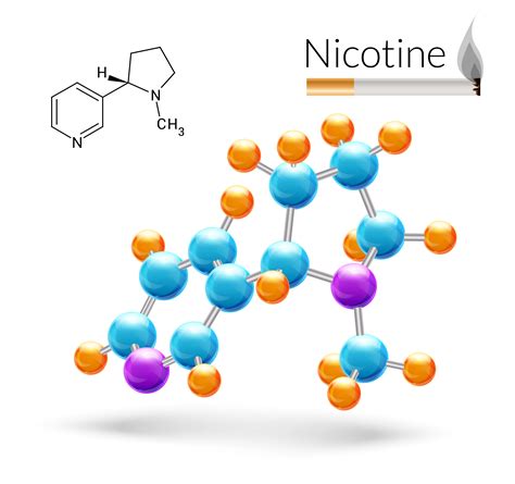 Molécula De Nicotina 3d 438063 Vector En Vecteezy