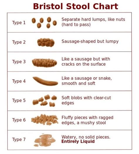What Is The Bristol Stool Chart Adult Human Poop Chart Stool Color