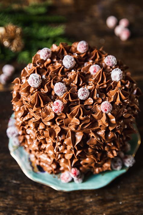 There are seven (yes, seven!) different types in this guide. Christmas Chocolate Cake with Cranberries - Vikalinka