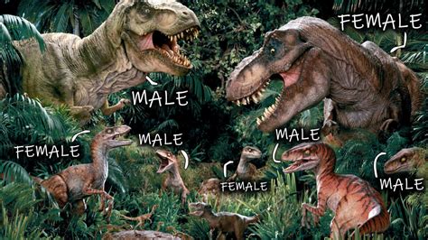 The Dinosaurs Of Jurassic World Are Both Male And Female And Theyre