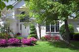 Examples Of Front Yard Landscaping Photos