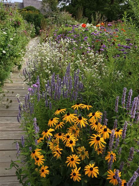 Pollinator Garden Rhode Island Mbi Garden Plant