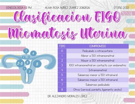 Clasificaci N Figo De Miomatosis Uterina Amy Nj Udocz