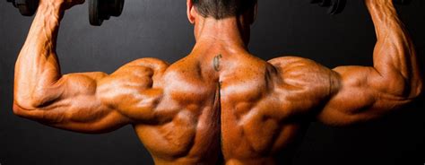Raw muscle, melbourne, victoria, australia. Estrogen blocking supplements for men that matter | THE ...