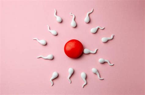 Infertilidad Masculina Kern Pharma