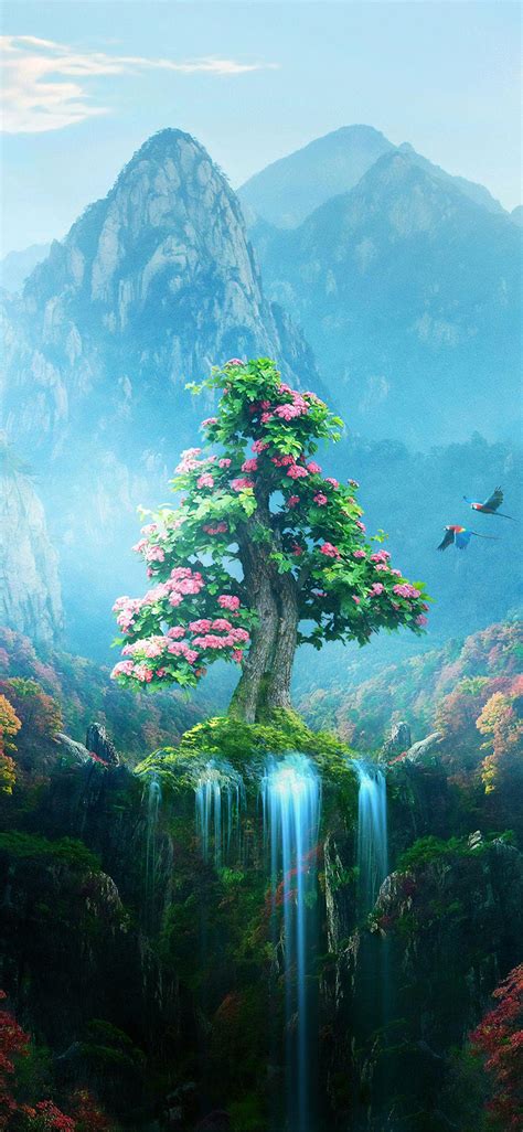 Magic Nature Wallpapers Top Free Magic Nature Backgrounds