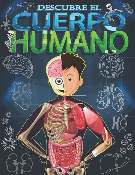 Buy Descubre El Cuerpo Humano Mira Debajo De Tu Cuerpo Libro Para