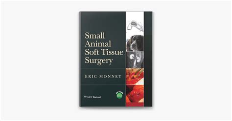 ‎small Animal Soft Tissue Surgery In Apple Books