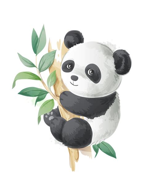 Best Ideas For Coloring Realistic Panda Clipart