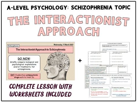 A Level Psychology The Interactionist Approach To Schizophrenia