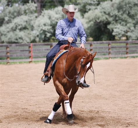 Start And Stop A Spin Reining Horses Horse Training Western Horse