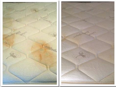 They also sell a mattress cover under the house brand name we have a ca king premium mattress from simmons beautyrest. Furniture Cleaning San Antonio | Beyer Carpet Cleaning