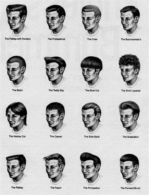 Haircut Terms With Pictures Best Haircut 2020