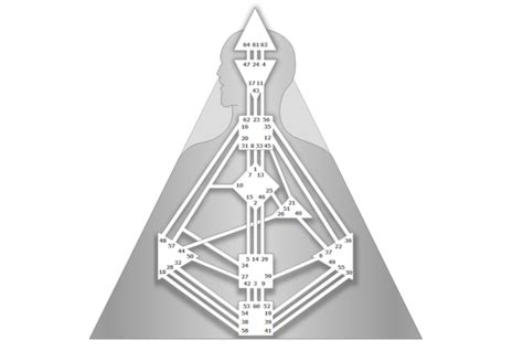 Four types of human beings and their strategy the human design system groups people into 4 specific types: Генерирай Карта - Human Design Bulgaria