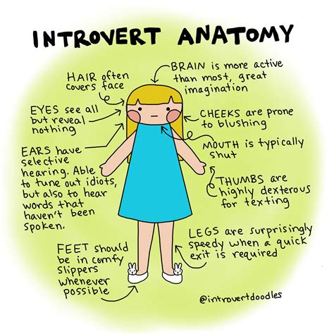 Introvert Anatomy Introvert Doodles
