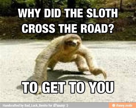 Creepy Slothso Scary Real Quotes Funny Quotes Funny Memes Hilarious Creepy Sloth