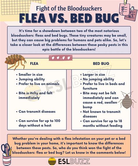 Flea Bites On Humans Vs Bed Bugs