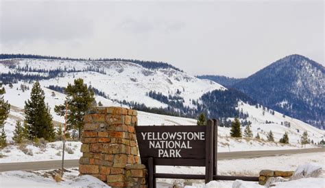 A Bucket List Trip To Yellowstone National Park Vagabond3 World