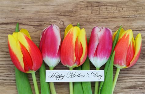 Happy Mothers Day Card With Colorful Tulips Homecookin Restaurant Llandudno