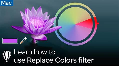 How To Use The Replace Color Filter For Precise Image Editing Mac
