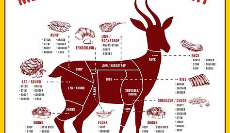 Meat Cuts Venison Chart Printable Deer Meat Recipes, Wild Game Recipes