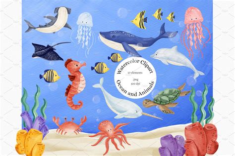 Watercolor Ocean And Sea Animals Animal Illustrations Creative Market