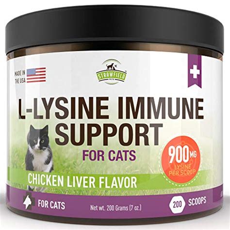 top 10 l lysine supplement for cats of 2022 best reviews guide