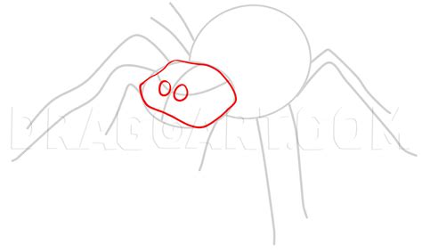 How To Draw An Easy Spider Step By Step Drawing Guide By Dawn Dragoart