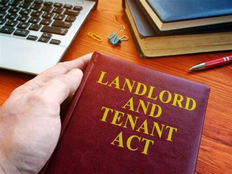 How Landlords Can Resolve Tenant Disputes In A Practical Way Amg Property Management Llc