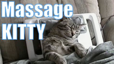 kitty gets a massage youtube