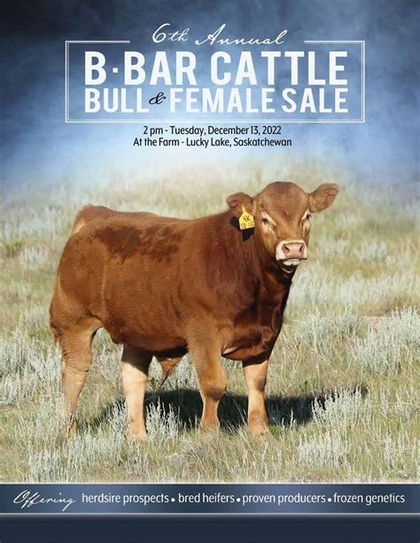 B Bar Cattle Co 6th Annual Bull And Female Sale Sale Results 2022 By