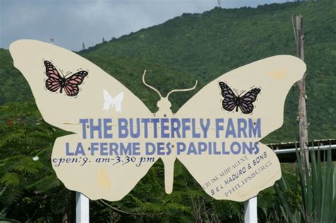 The Butterfly Farm La Ferme Des Papillons Quartier Dorleans St