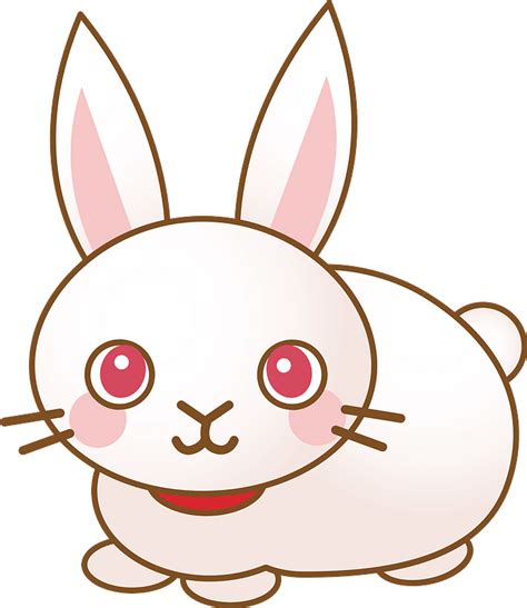 Cartoon Bunny Rabbit Eyes