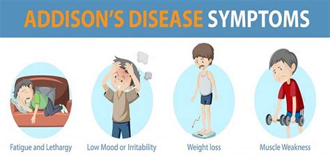 Causes And Symptoms Of Addison S Disease Ask The Nurse Expert
