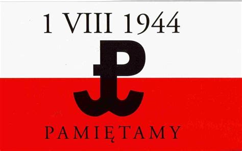 Warszawska radna pis olga semeniuk oburzała się ostatnio z powodu nalepki ze znakiem polski walczącej i napisem „przeciw faszyzmowi. Powstanie Warszawskie - 1 sierpnia 1944 r. - Kamil Sekściński